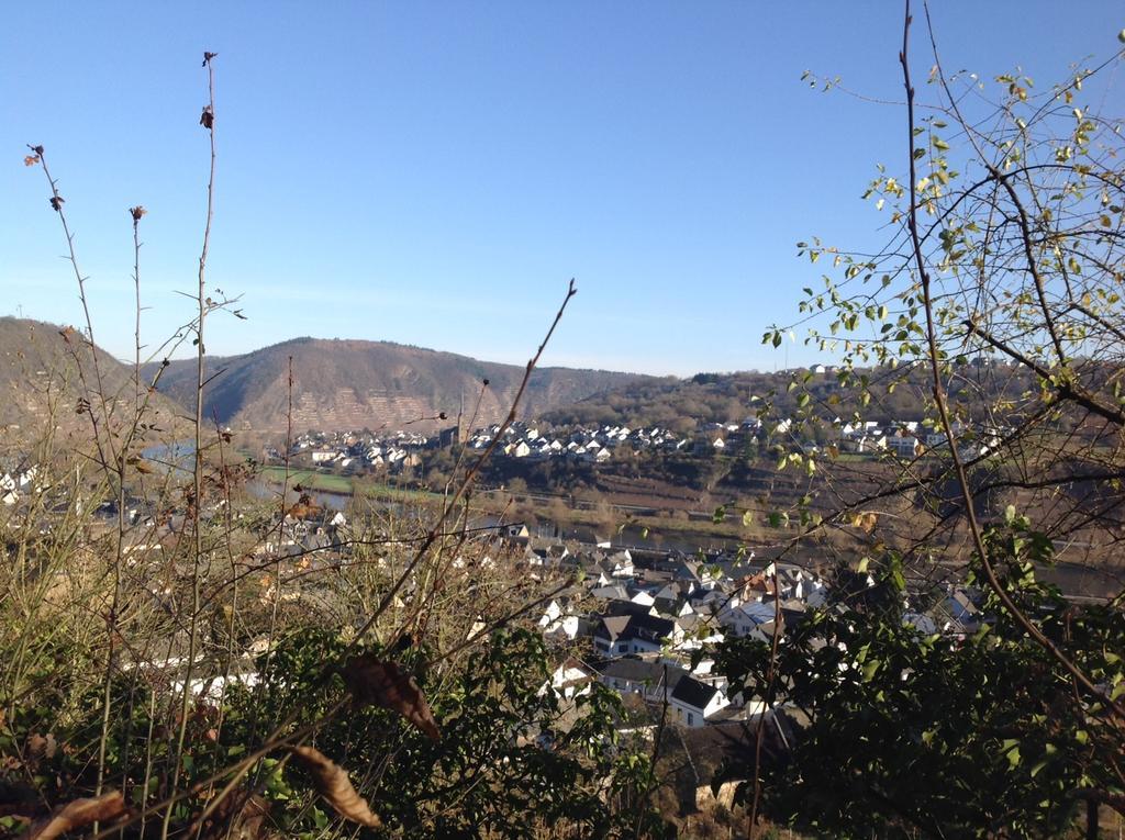 Bauernstube Scheidterhof Apartment โคเบิร์น-กอนดอร์ฟ ภายนอก รูปภาพ
