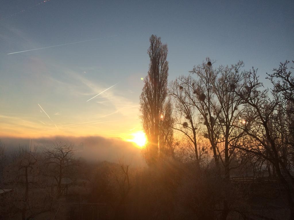 Bauernstube Scheidterhof Apartment โคเบิร์น-กอนดอร์ฟ ภายนอก รูปภาพ